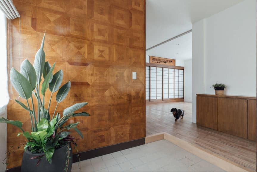 This simple Asian-style foyer has a warm and welcoming aura to it. There is a beautiful potted plant on the corner that stands out against the wooden wall that has patterns on it illuminated by the window. The rest of the home is on an elevated hardwood flooring.