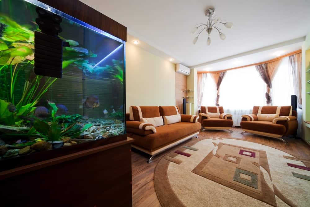 A simple and cozy living room complemented by a large fish tank.