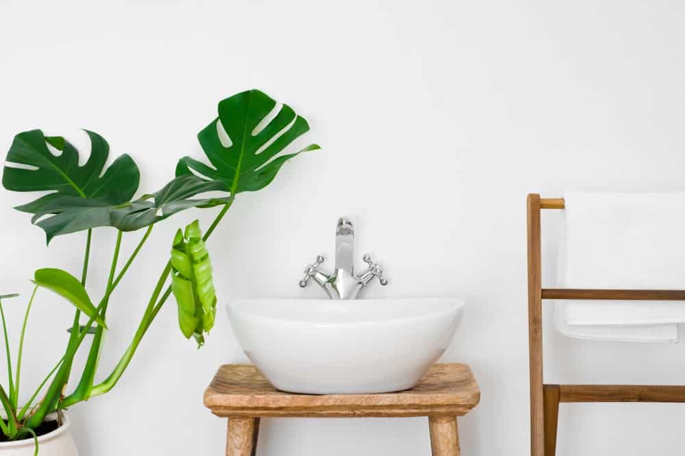 A rustic bathroom sink beside a large potted plant.