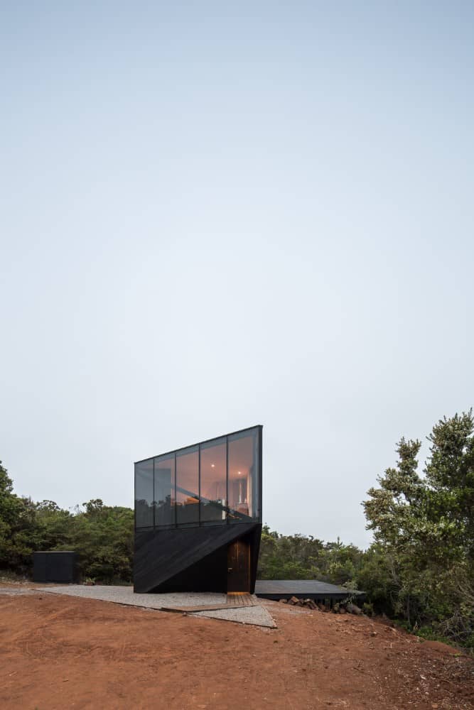 This is an exterior view of the house showcasing the unique modern look of black exterior walls and glass walls with a background of trees.