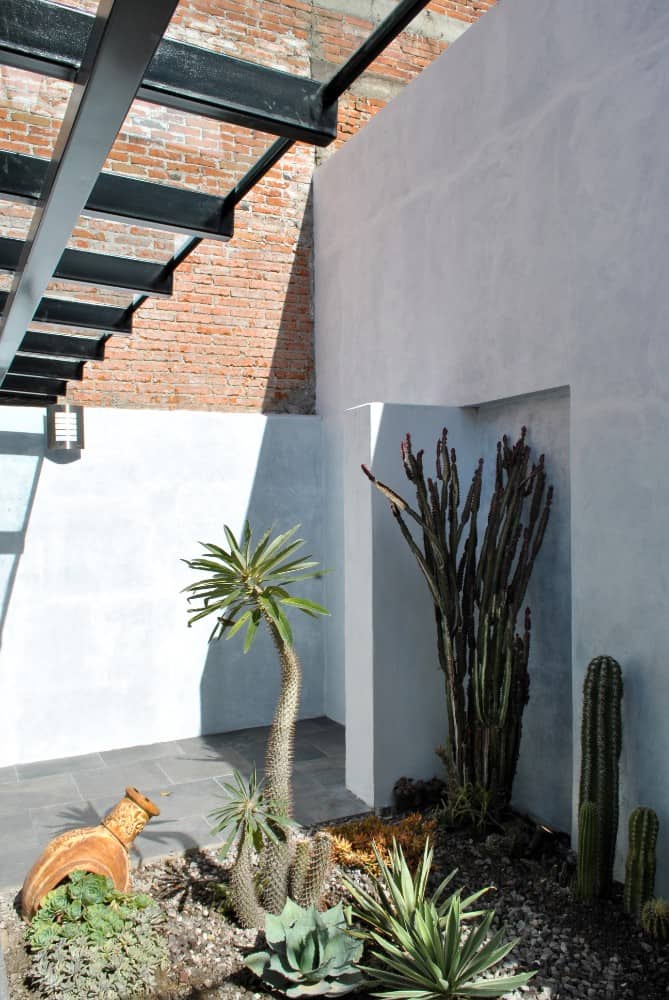 This is a closer look at the various desert plants of the garden that stands out against the white walls adorned with a tall brick wall on the far side.