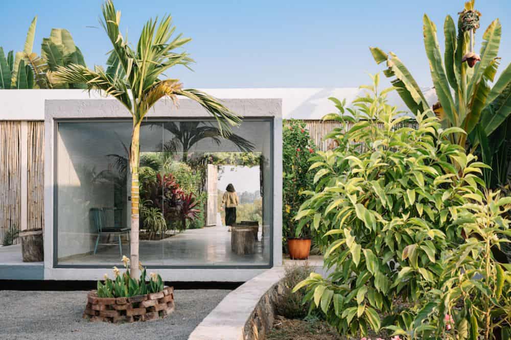 This is an exterior view of the house with glass walls and white exterior walls adorned by the surrounding tropical trees and shrubs.