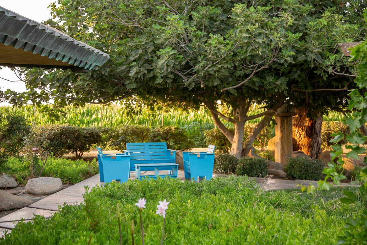 The patio, which includes stone walkways and a landscaped garden. Image courtesy of Toptenrealestatedeals.com