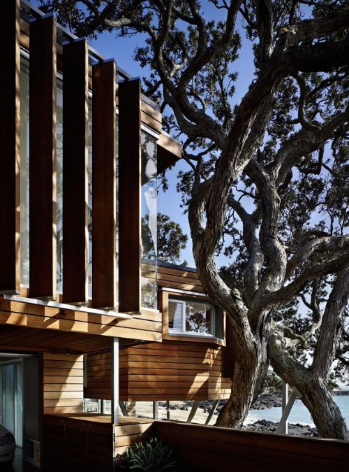 A close-up photograph of the exterior house designs, showcasing the cladding with an outer rain screen of open-jointed cedar boards, and the library that resembles a treehouse.