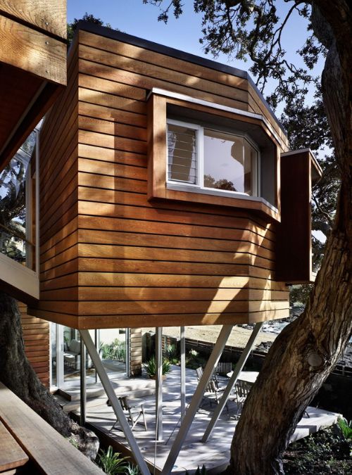 A close-up photograph of the library that resembles a treehouse, propped on asymmetrical steel columns, with bases carefully located to avoid tree roots.