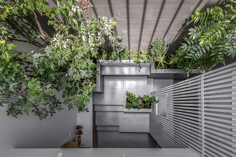 Top view of the atrium showcasing tall plants and tiled bench.