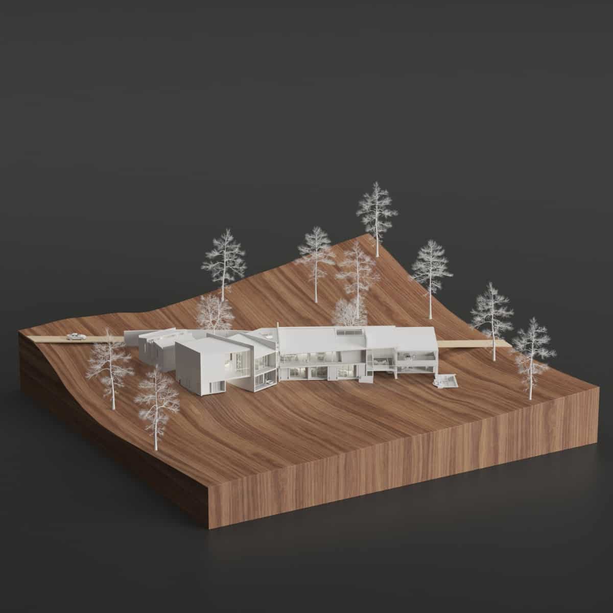 3D model of the Casa VV.