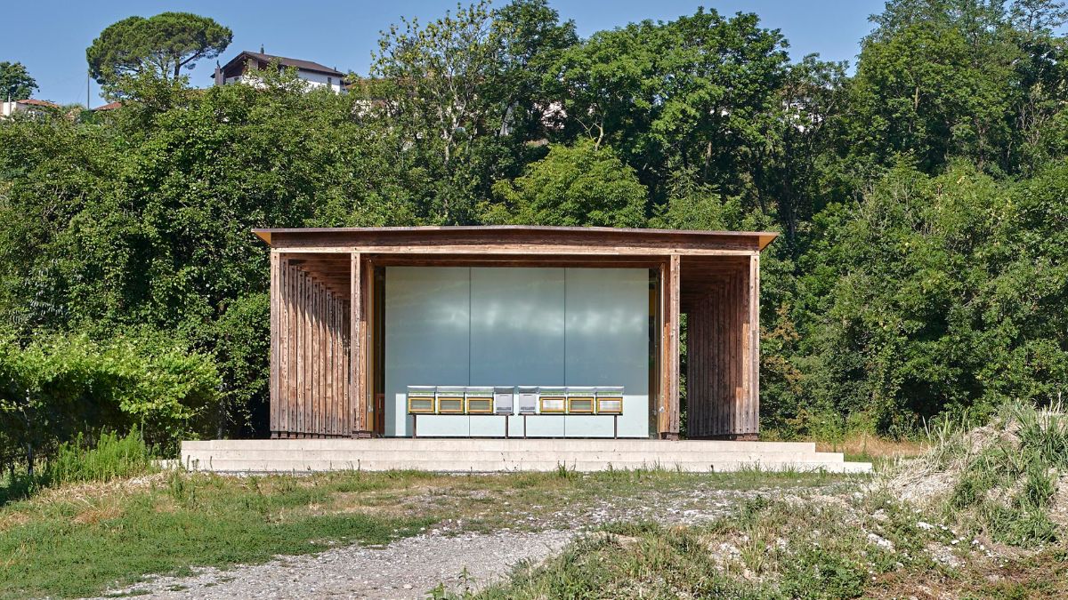 Front view of the pavilion with the honey bee extraction unit in front.