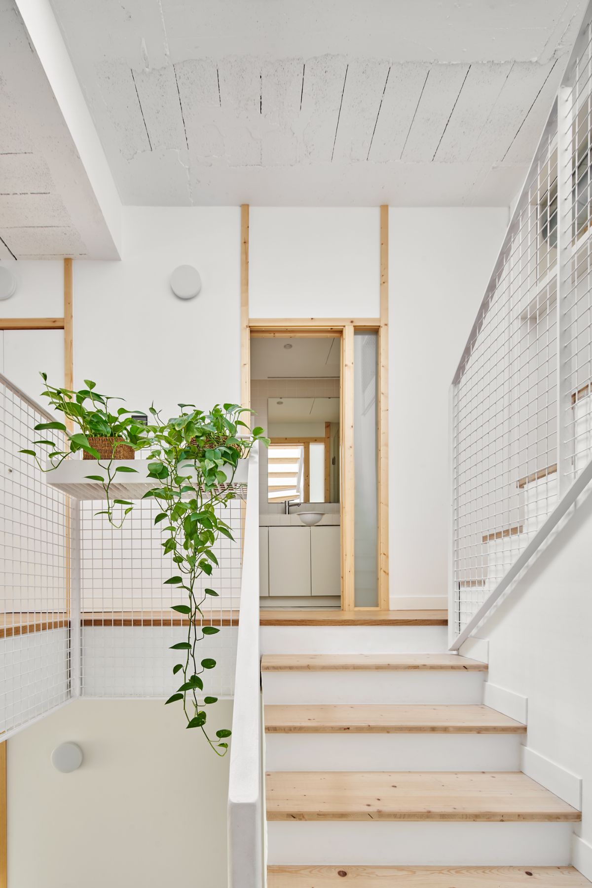 The stairs are designed in white wood and indoor plants.