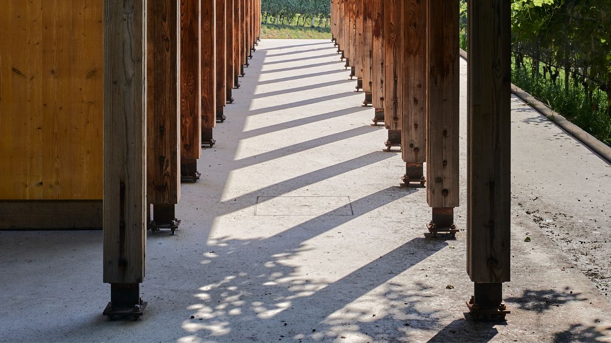 A narrow sidewalk framed by wooden pillars.