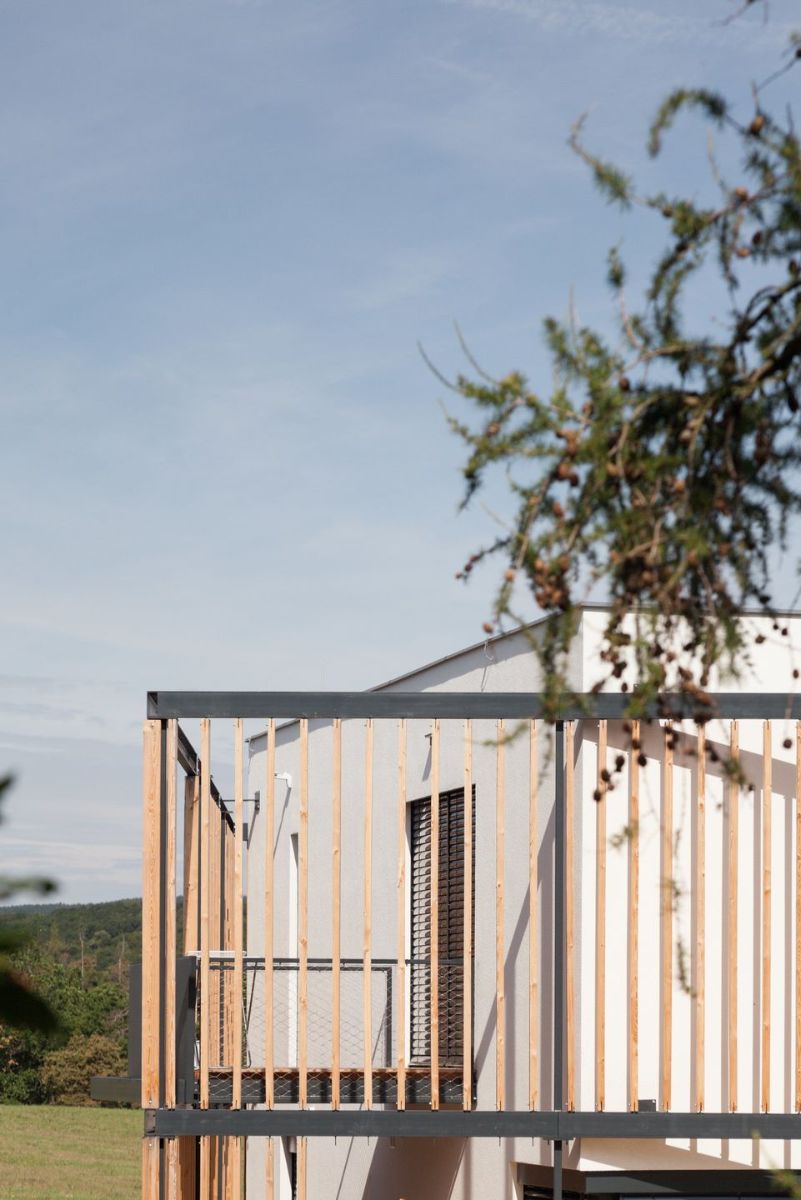 The vertical wooden elements that cover the house.