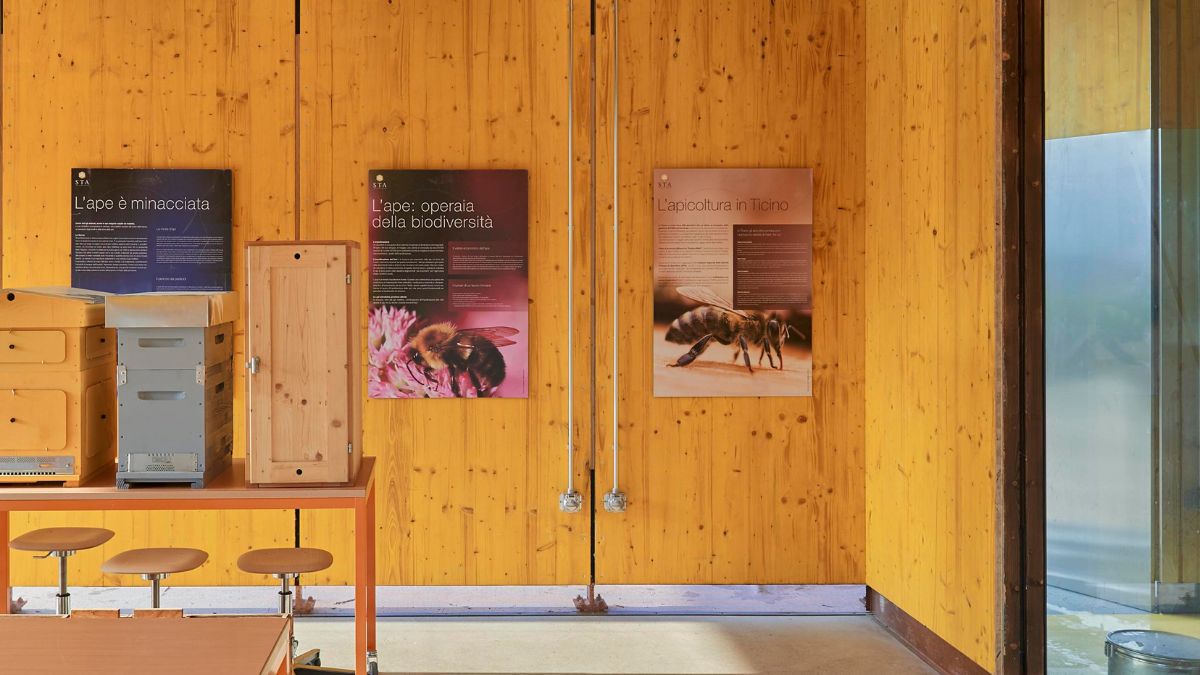 The room has a view of a wall with decor items on it, and a rolling wooden table.