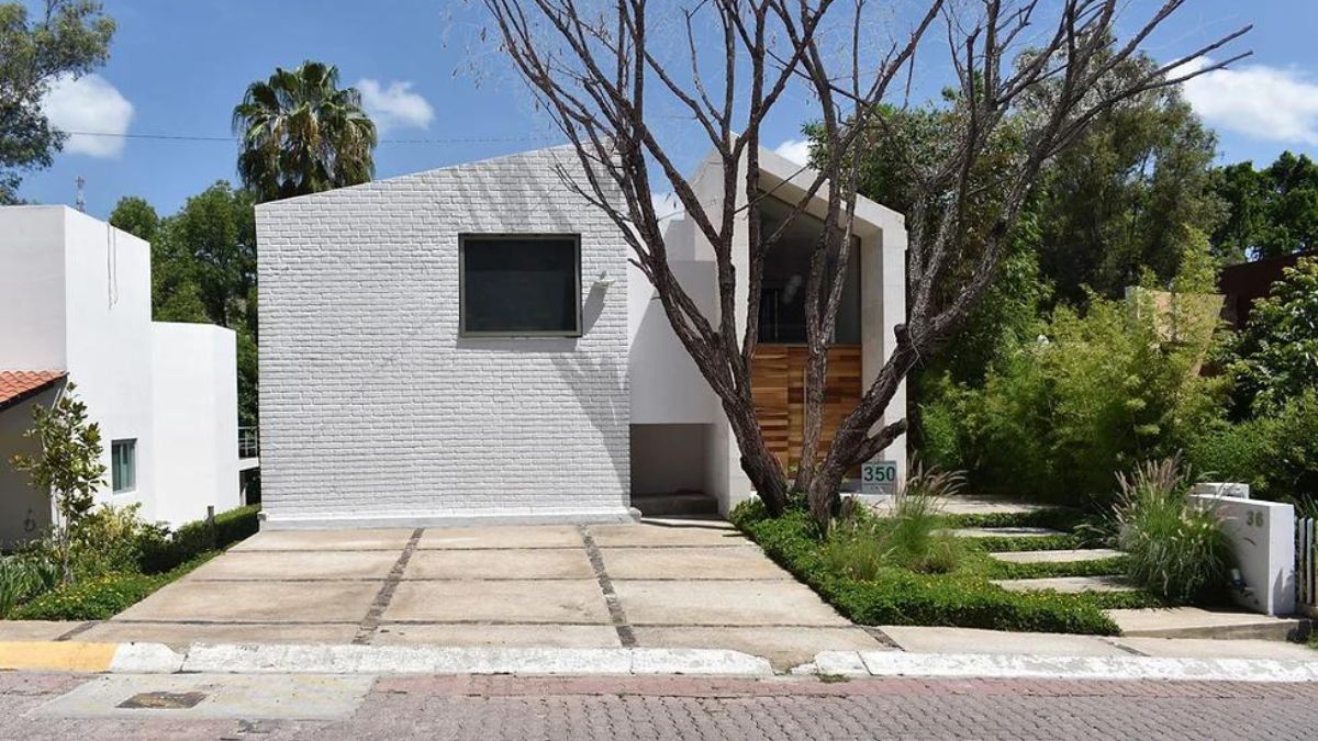 This is a photograph of Casa Veracruz's exterior, showcasing its sloping roof and white brick wall. In the foreground, there is a dead tree.