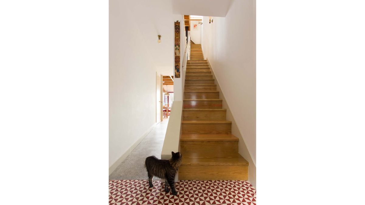 A picture of a cat gazing at a white-walled, wooden stairway.