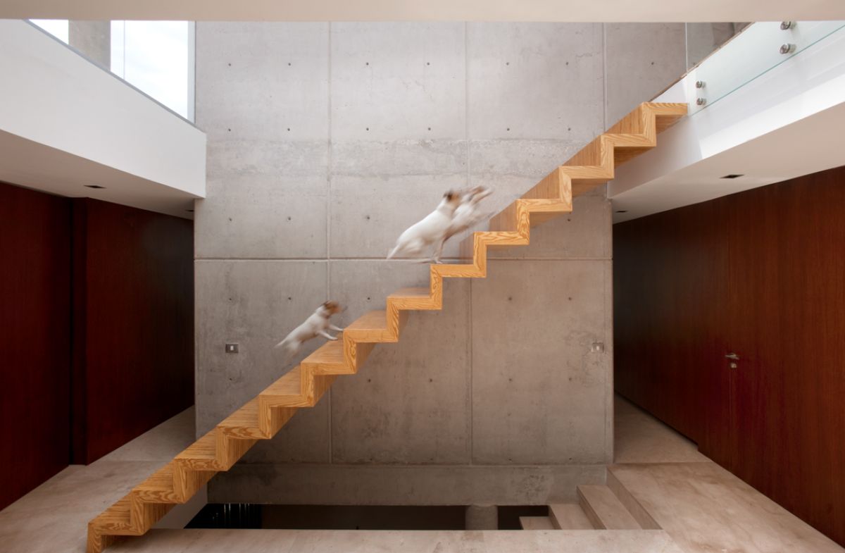 The wooden floating stairs connect the ground to the private areas inside the suspended volume.