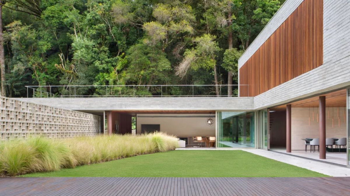 The native forest at the back of the house is explored from the outside wide space.