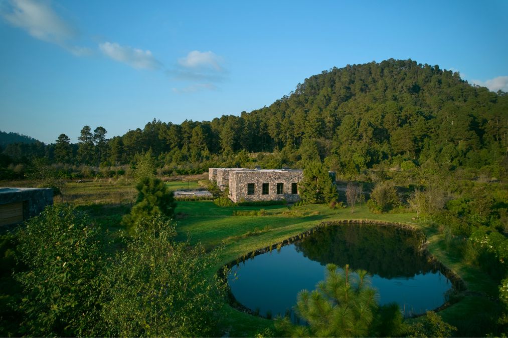 The FS House is built around a small pond located at its center.