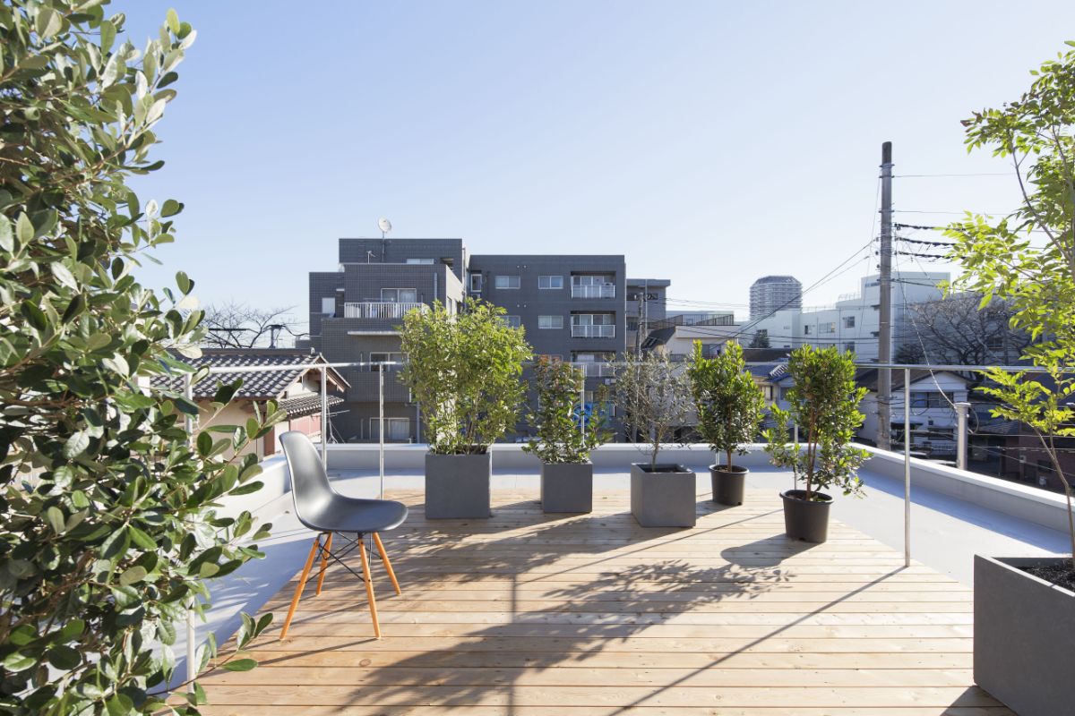 A roof terrace with potted plants and a view of the street and neighboring houses.