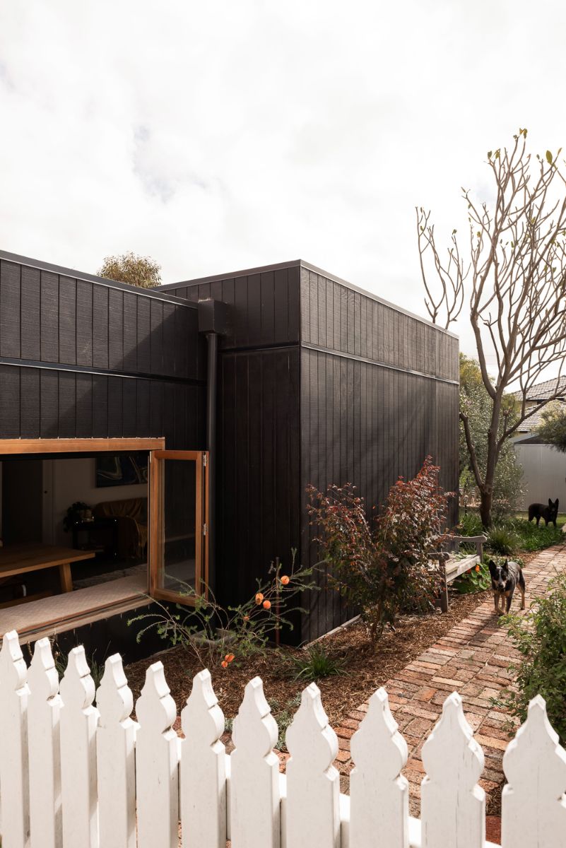 The walls to the extension are made from timber studs clad in ‘Shadowclad’ external plywood. This cladding is stained black, intentionally dark to form a contrasting back drop to the intense green of the plants that creep around them. 