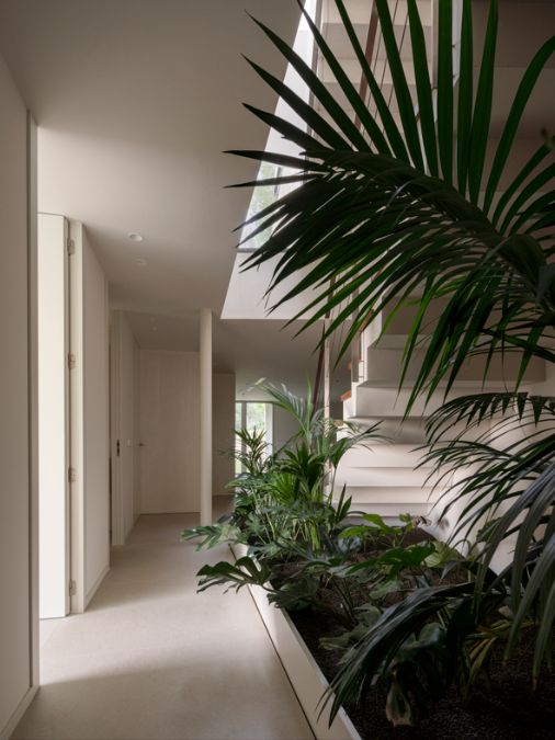 A hall way with plant on the side