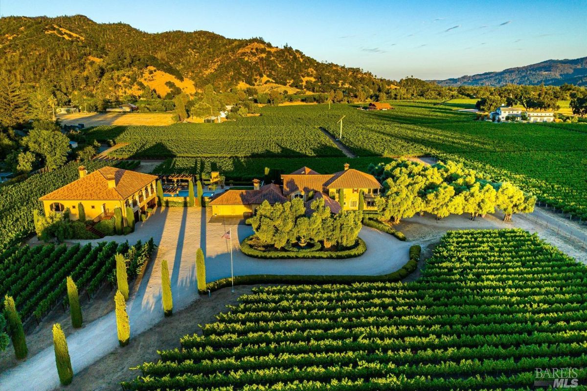 Aerial view of the vineyard