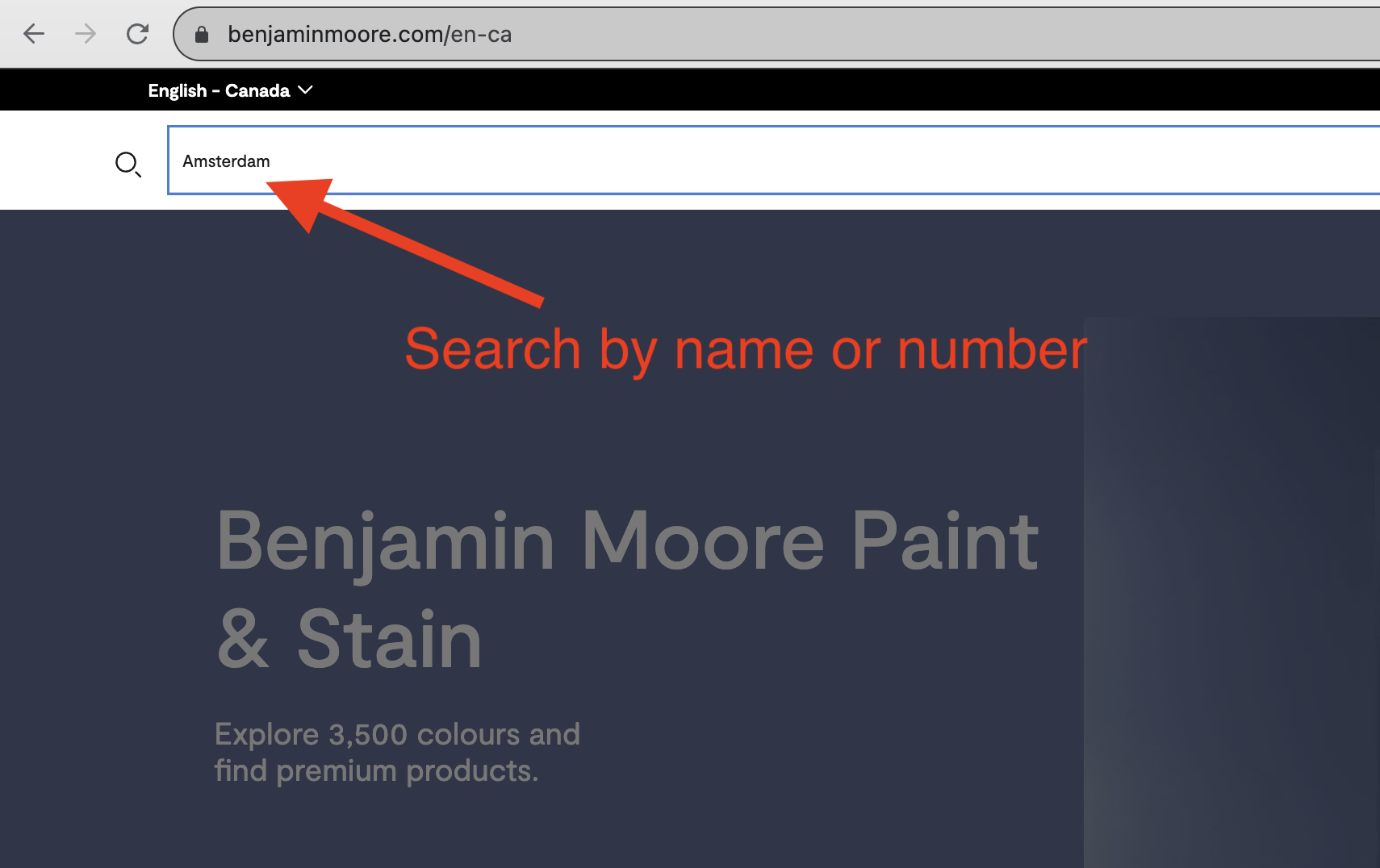 Check your pain color on Benjamin Moore by searching by color name or number