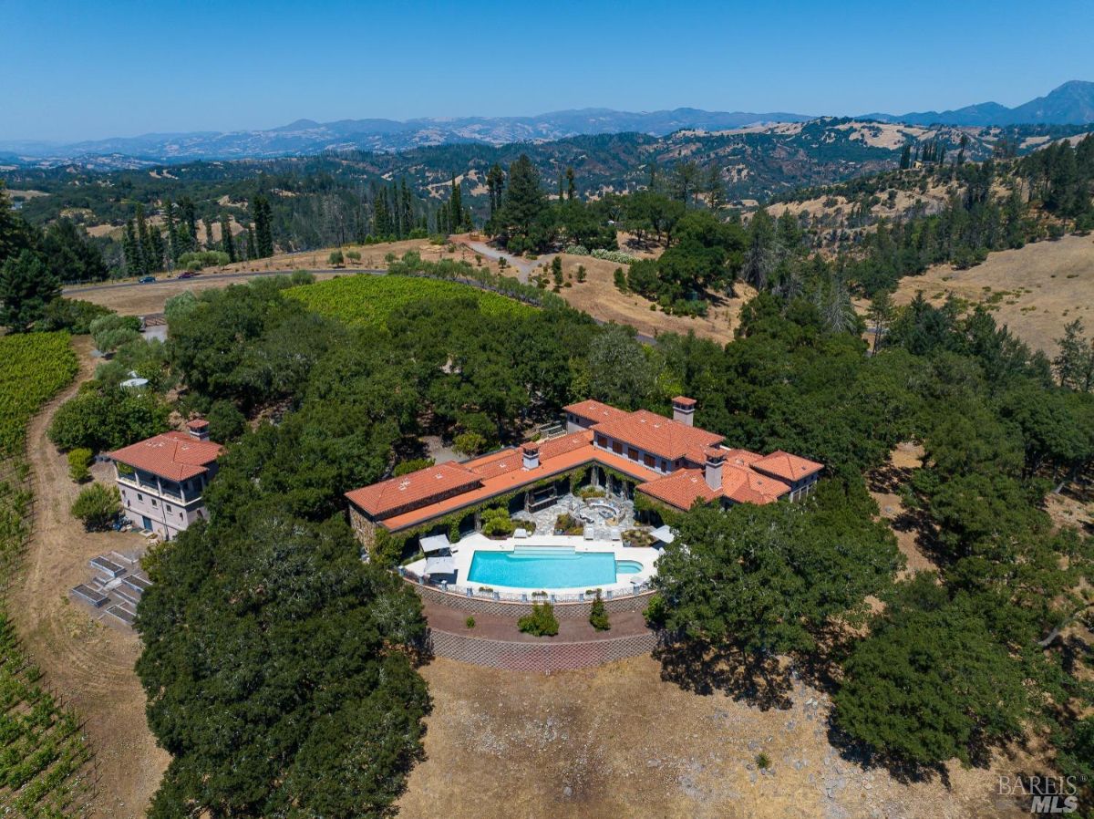 Aerial view of the mansion.