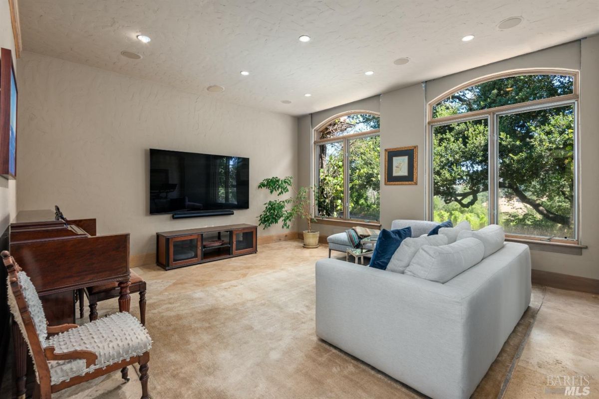 Living room with couches, TV and glass windows.