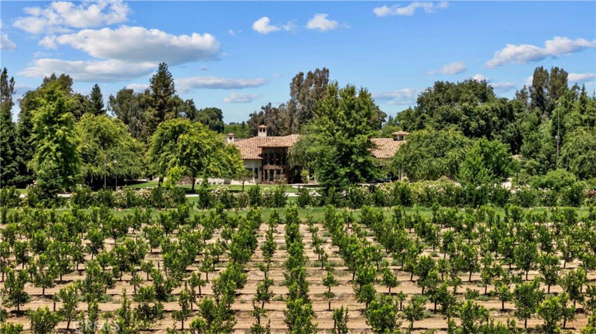 Rear view of the property with a vineyard.