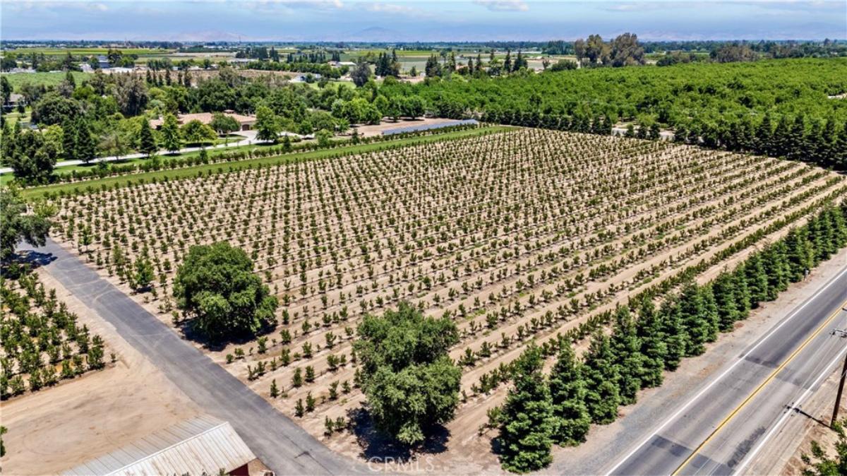 Aerial view of the vineyard.