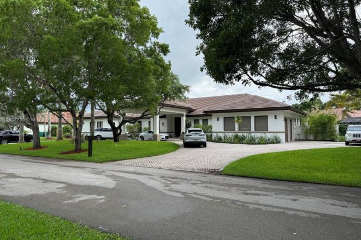 A driveway surrounded by trees.