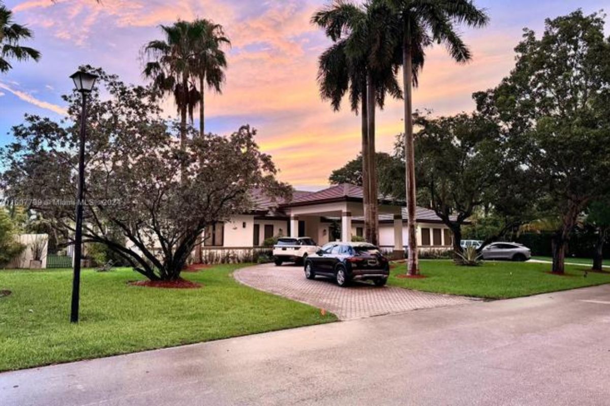 A driveway surrounded by trees.