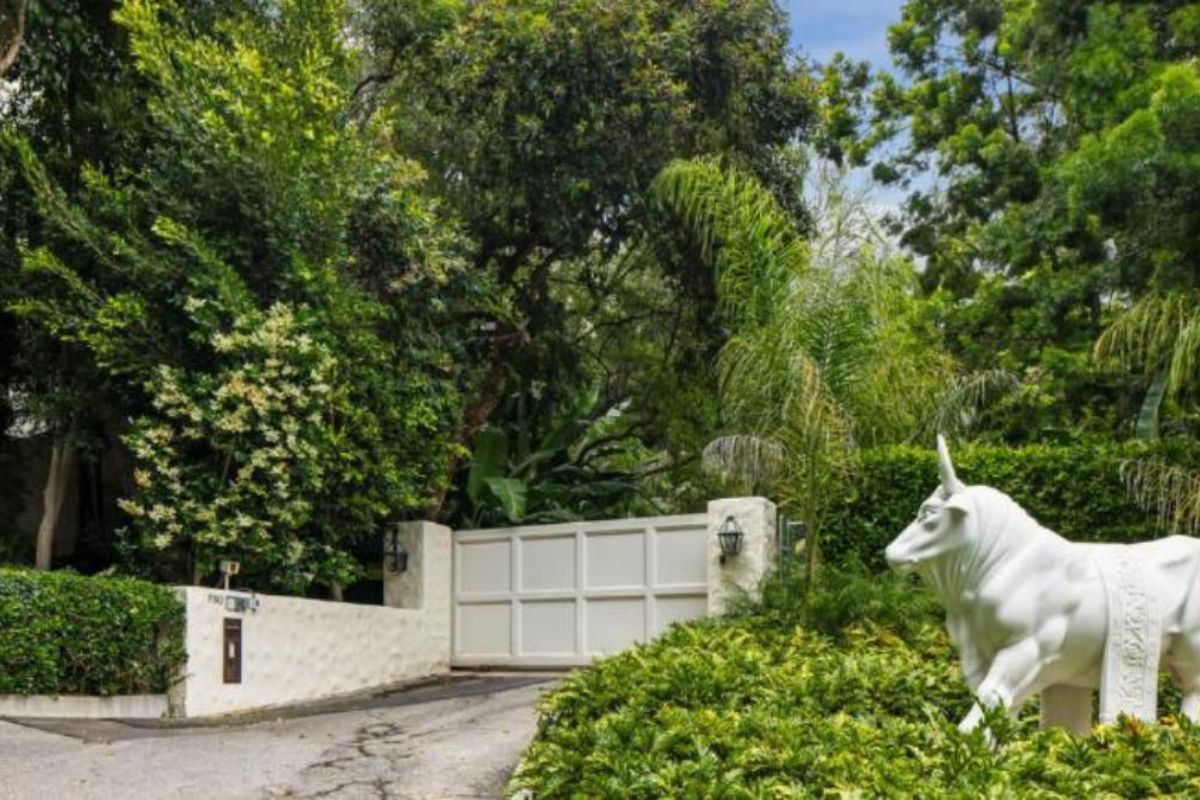 A front gate entry with a gate surrounded by plants and trees.