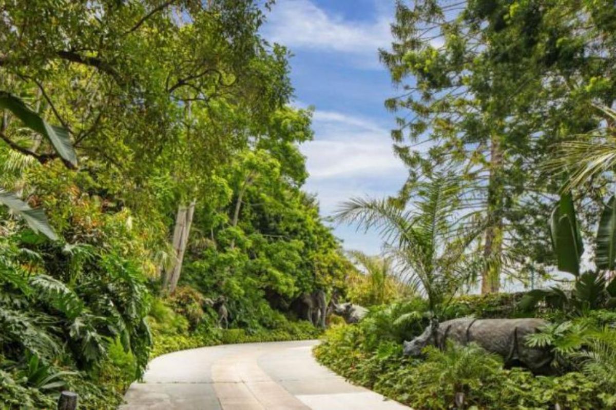 A driveway surrounded by plants and trees.