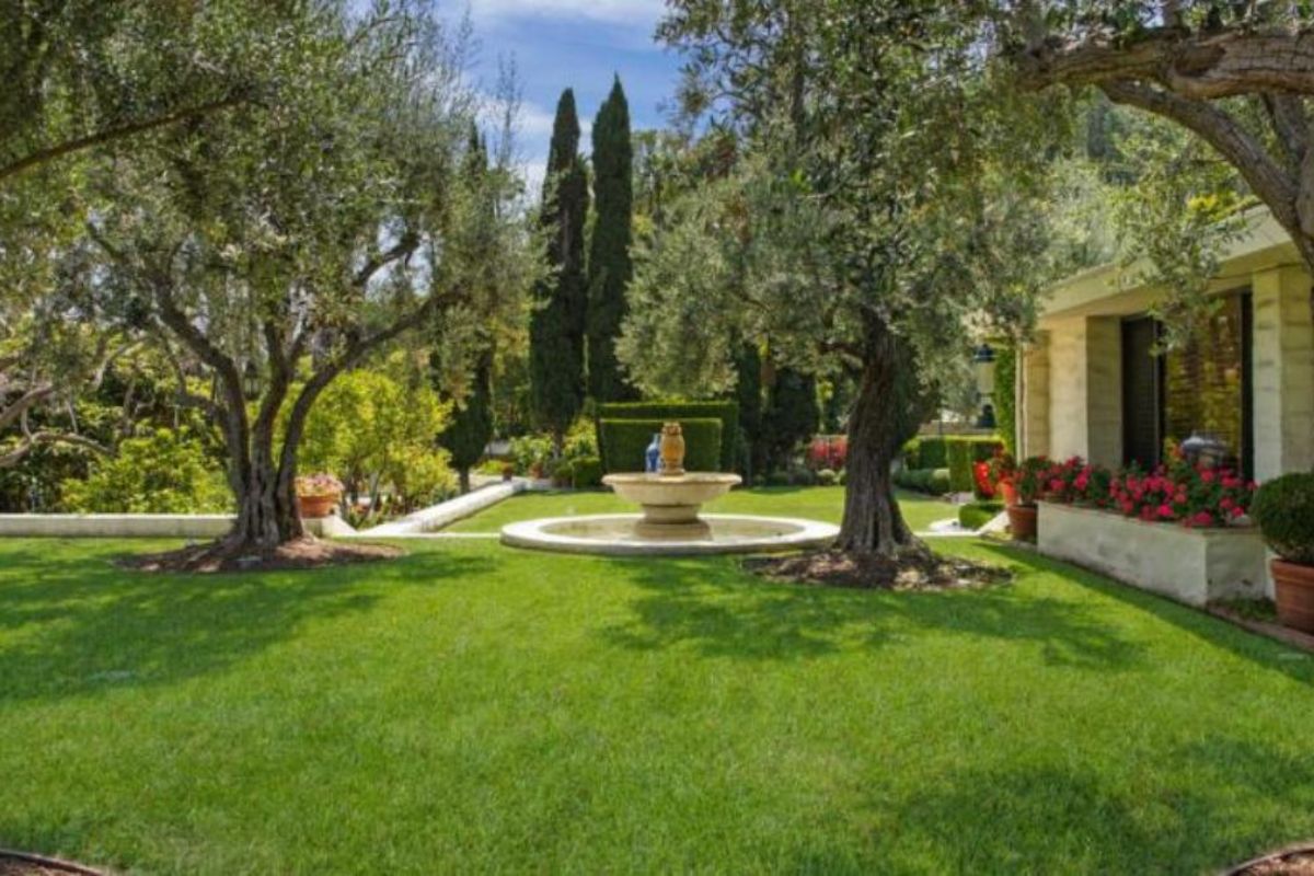 A courtyard with trees, plants, and a fountain in the center.