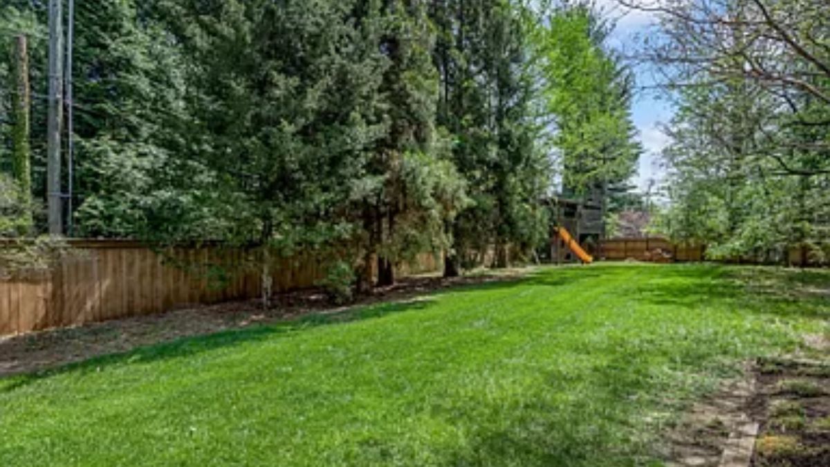 A lawn with green grass and trees.