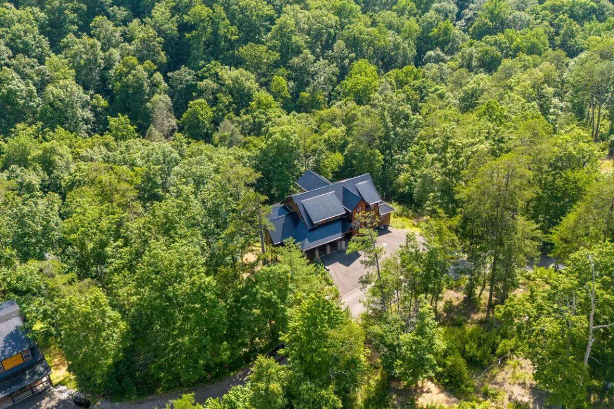 Aerial front view of the luxury cabin.