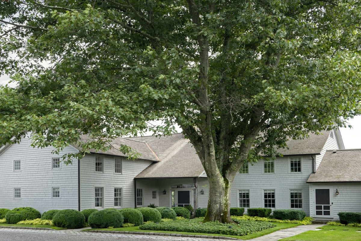 A courtyard with plants and trees.