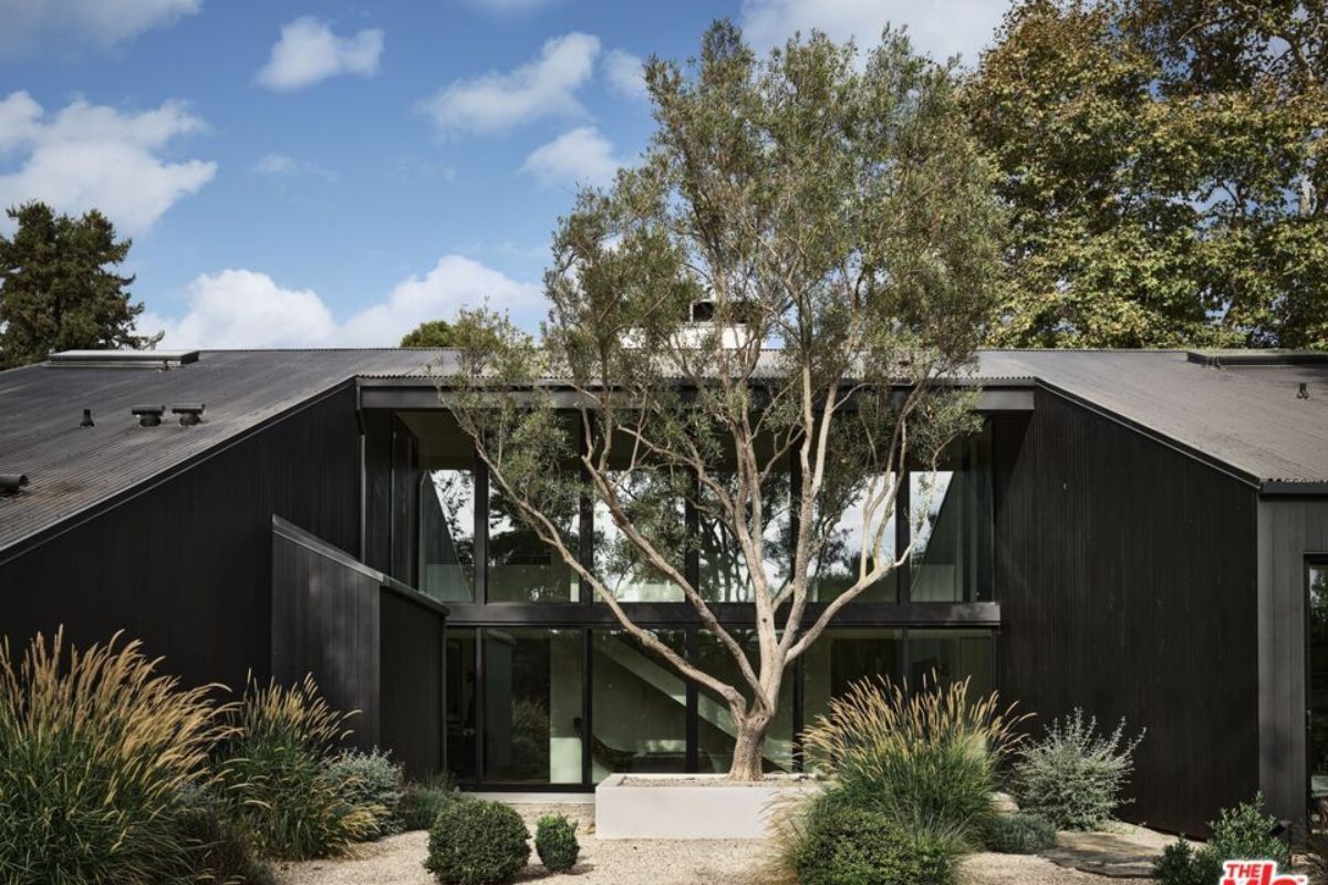 A courtyard with plants and trees.