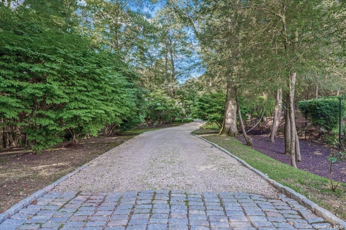 A driveway surrounded by trees.