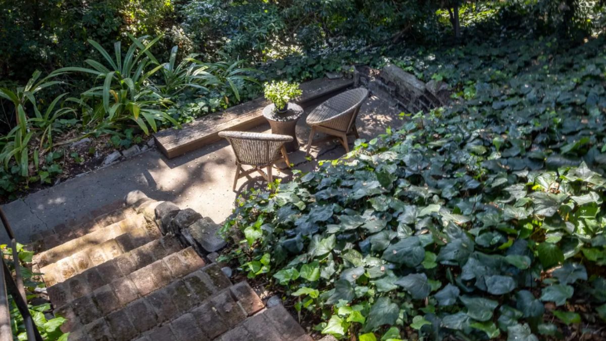 A tranquil sitting area with chairs surrounded by plants.