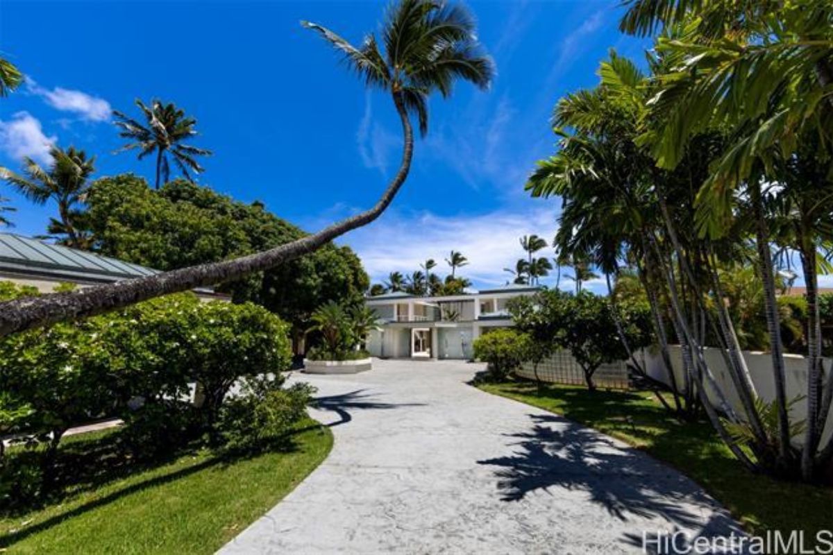 A driveway surrounded by plants and trees.