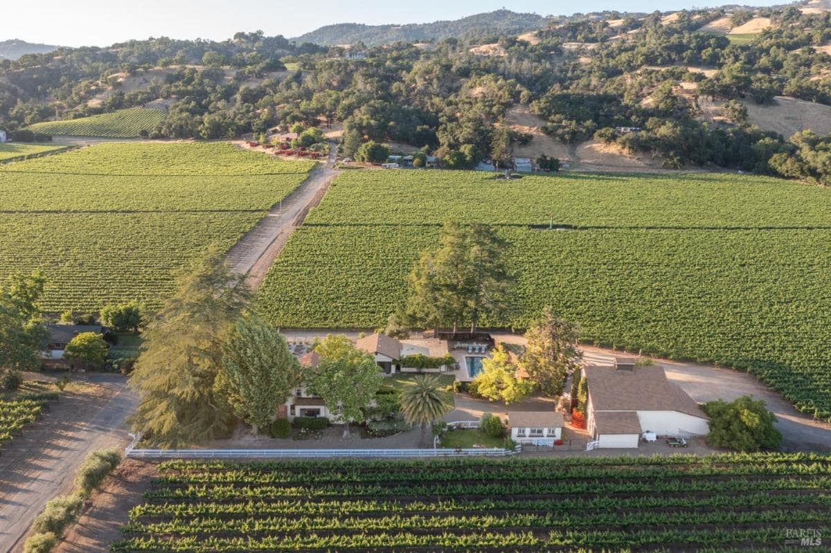 Aerial view of a vineyard estate with a house, swimming pool, and surrounding vineyards.