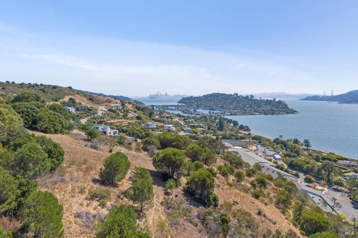 Aerial view of a hilly landscape with trees and residential areas, overlooking the ocean and a city skyline in the distance.