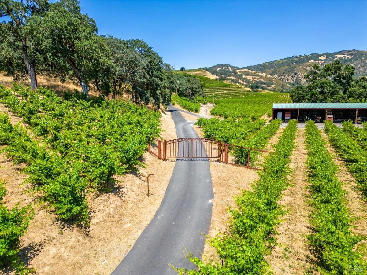 A driveway through vineyards with a metal gate and a storage building in the background.