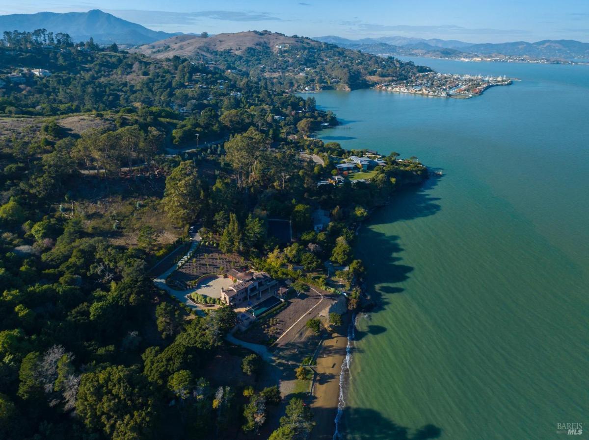 Aerial coastal view showing a home surrounded by greenery and water.