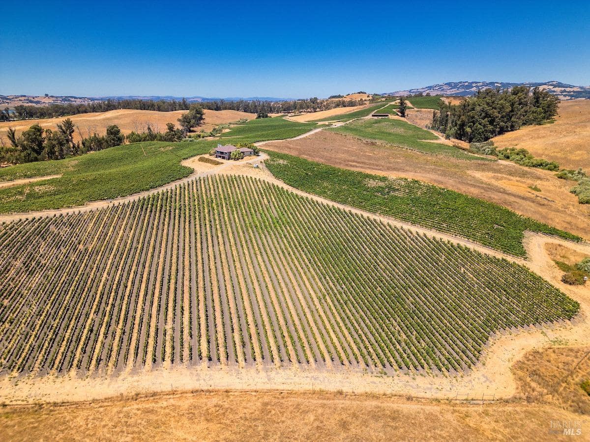 Wide aerial view of a vineyard landscape with hills and a central house.