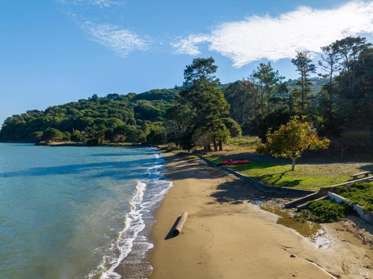 Shoreline with water, trees, and greenery along the coast.