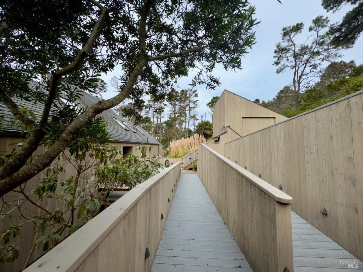 A wooden walkway surrounded by greenery leading to the house.