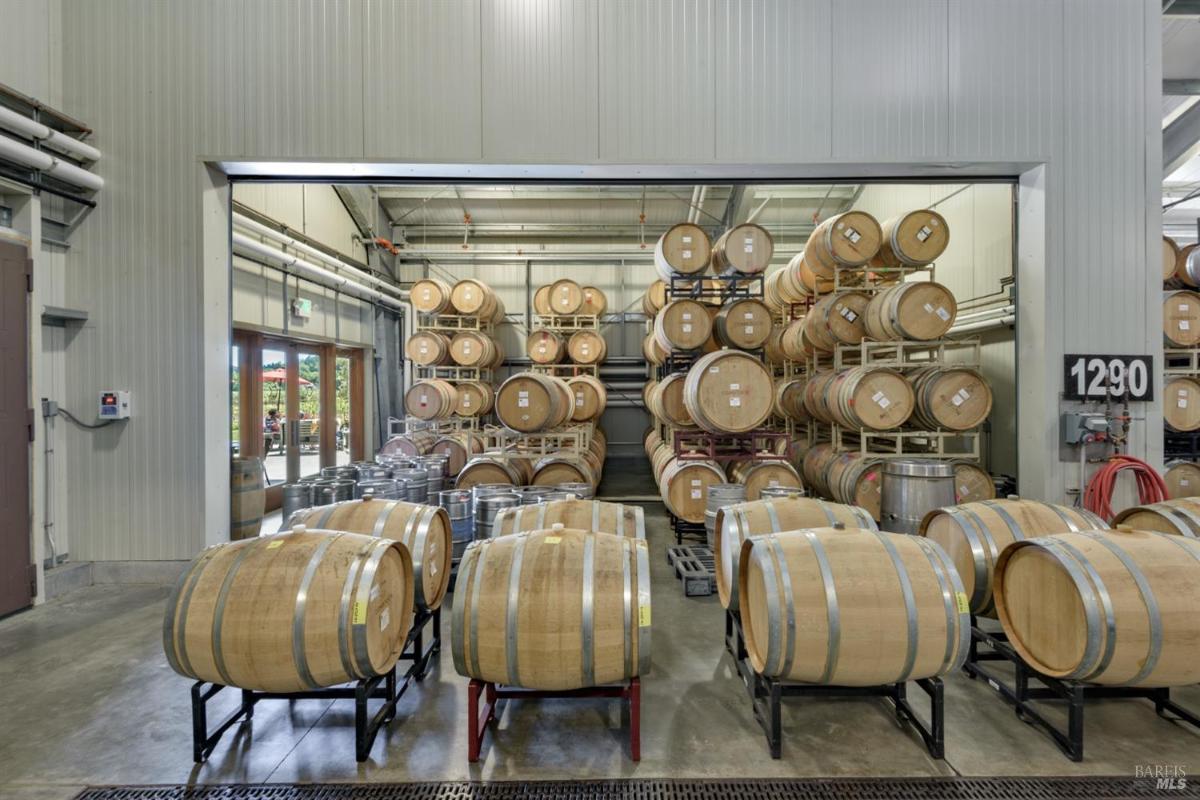 Winery storage with rows of wine barrels and a view of the outdoor seating area.